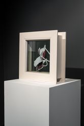'Bokashi by a Window'-202